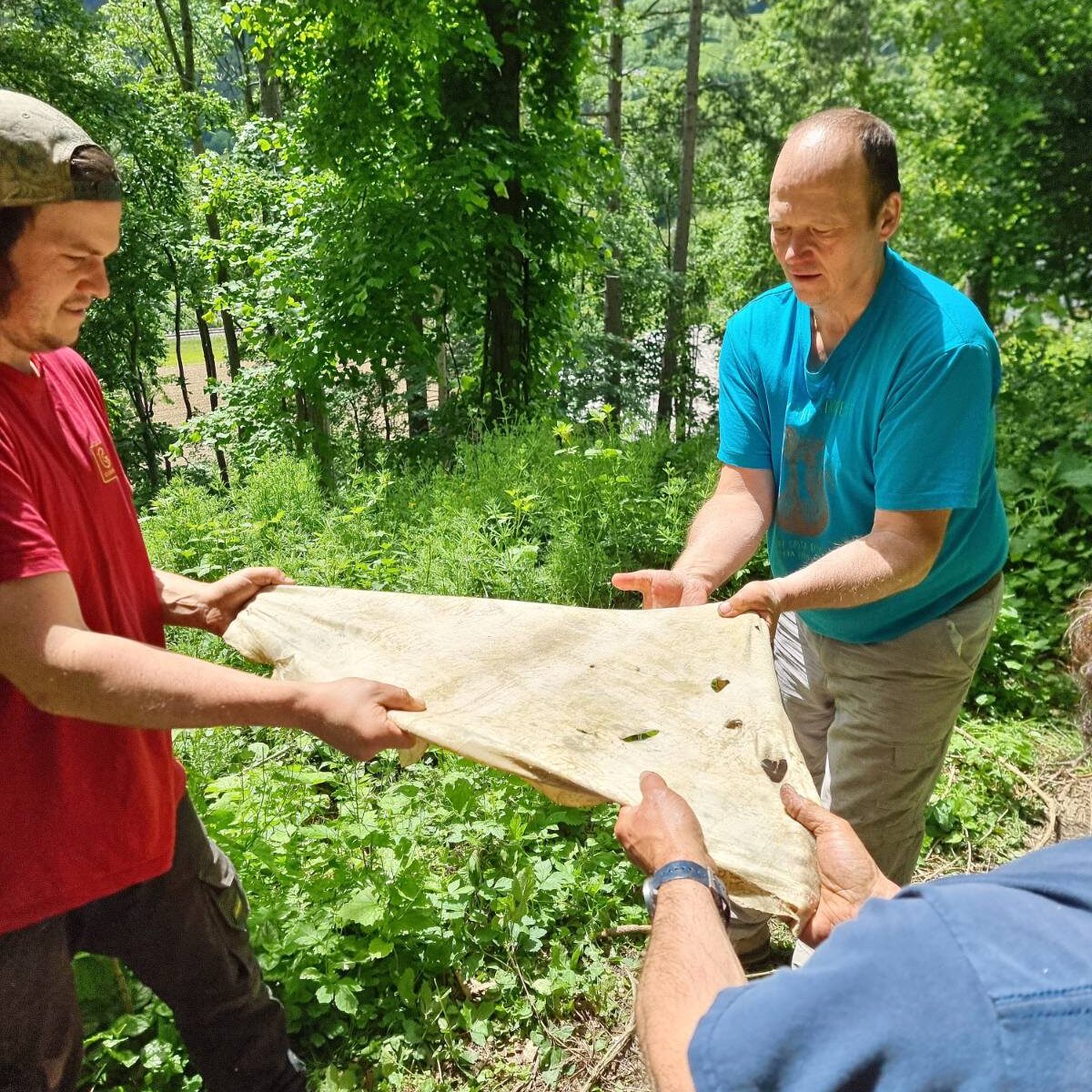 signal-2025-09-01-113942_005