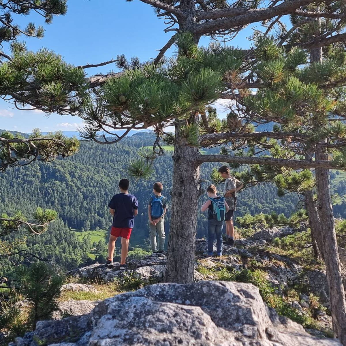 signal-2025-09-15-094420_004